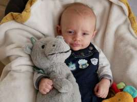 louis